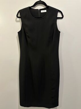 Calvin Klein Sleeveless Fitted Bodice Business Casual Dress Size 6